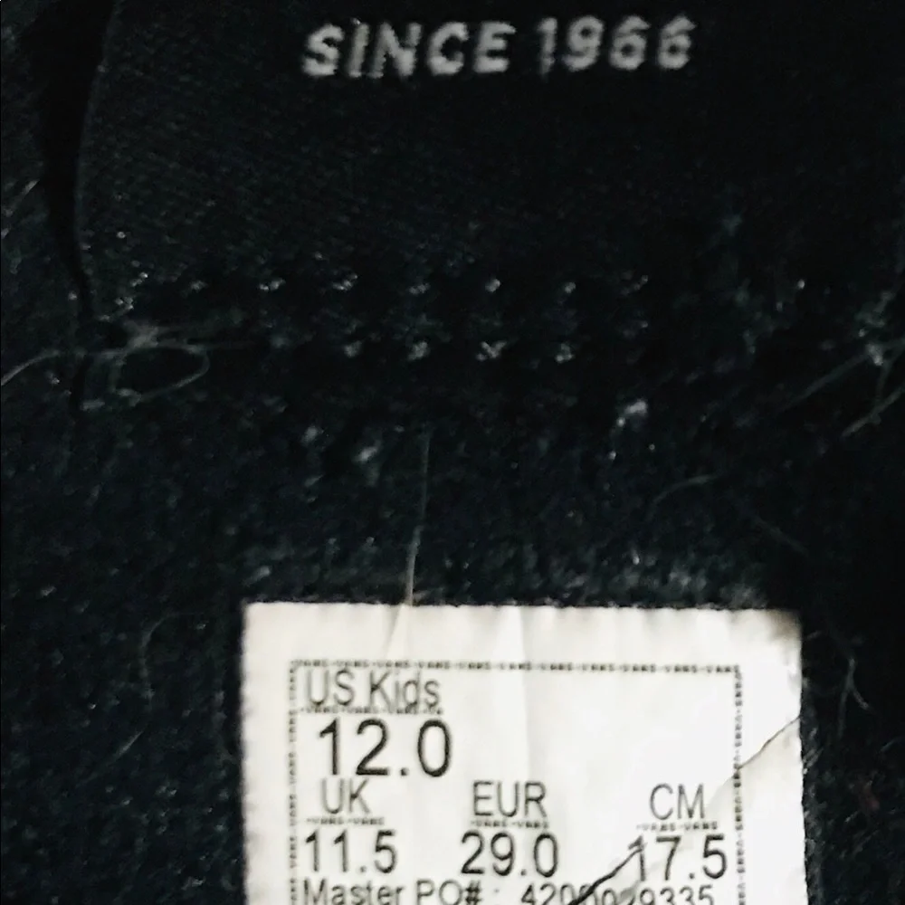 Kids Vans - Picture 8 of 11